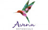 Avena Botanicals's picture