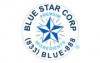 Blue Star Corp's picture