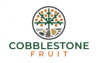 Cobblestone Fruit's picture