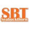 SBT Seabuckthorn's picture