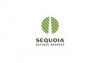 Sequoia Natural Brokers's picture