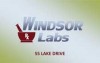 Windsor Labs's picture