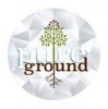 Pure Ground Ingredients, Inc.'s picture