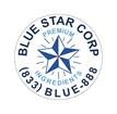 Blue Star Corp's picture